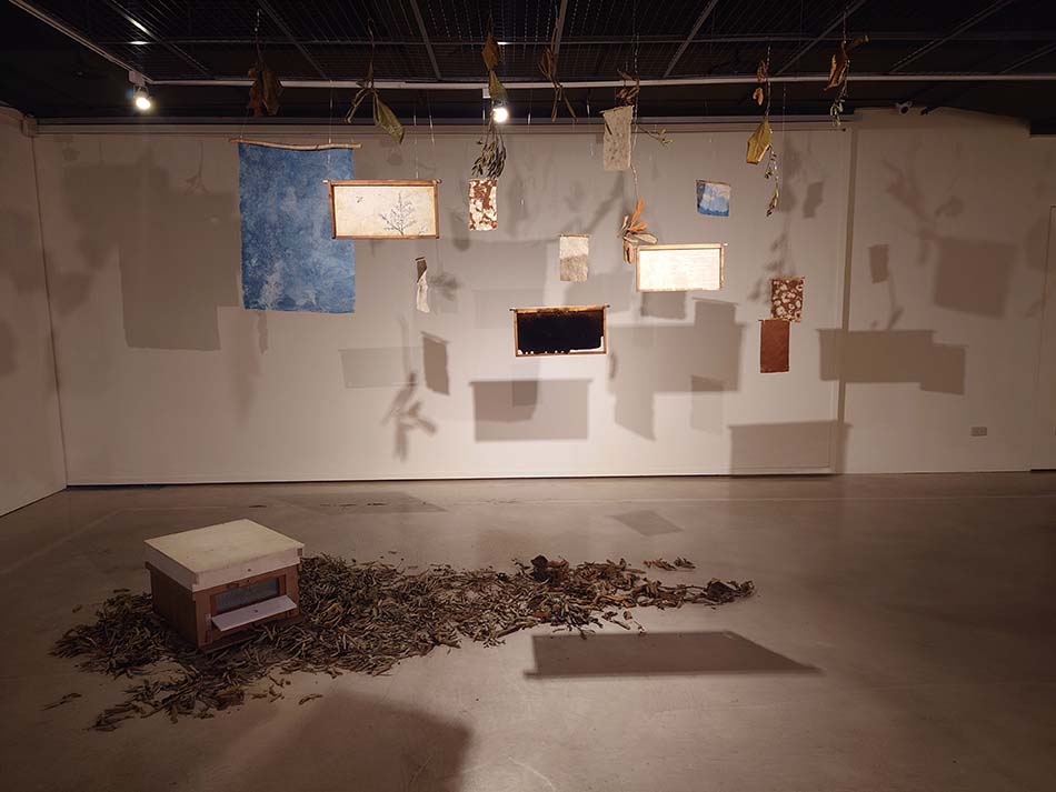 吳玳瑩　蜂作為橋樑的隱藏者