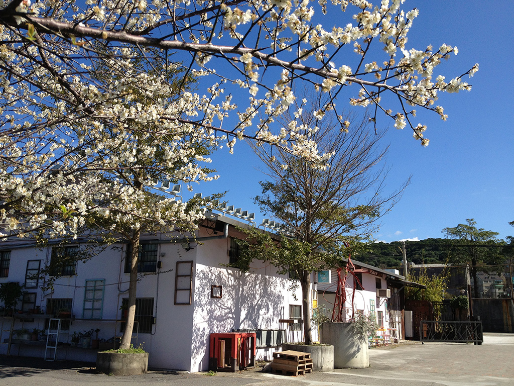 竹圍工作室外觀一景