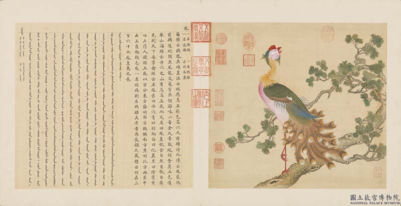 鳥譜(一)